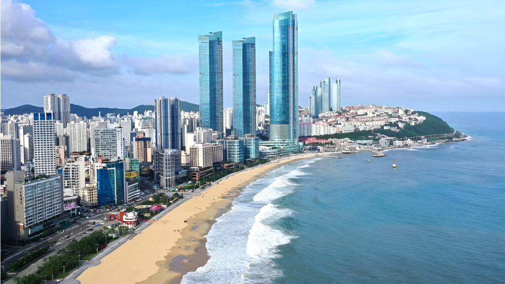 22조 '메가톤급' 움직임 "부산이 완전히 들썩인다"...이게 정말이라면 1 부산