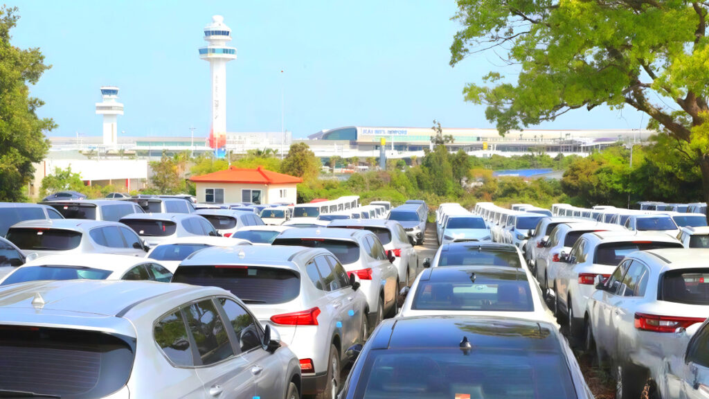 "제주도 놀러갔다가 '깜짝'"...도로에 쫙 깔린 자동차 정체가 1 BYD Jeju Island Rental Car