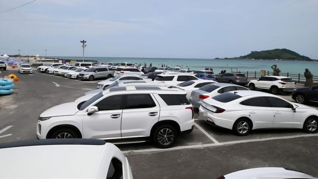 "제주도 놀러갔다가 '깜짝'"...도로에 쫙 깔린 자동차 정체가 4 BYD Jeju Island Rental Car (4)