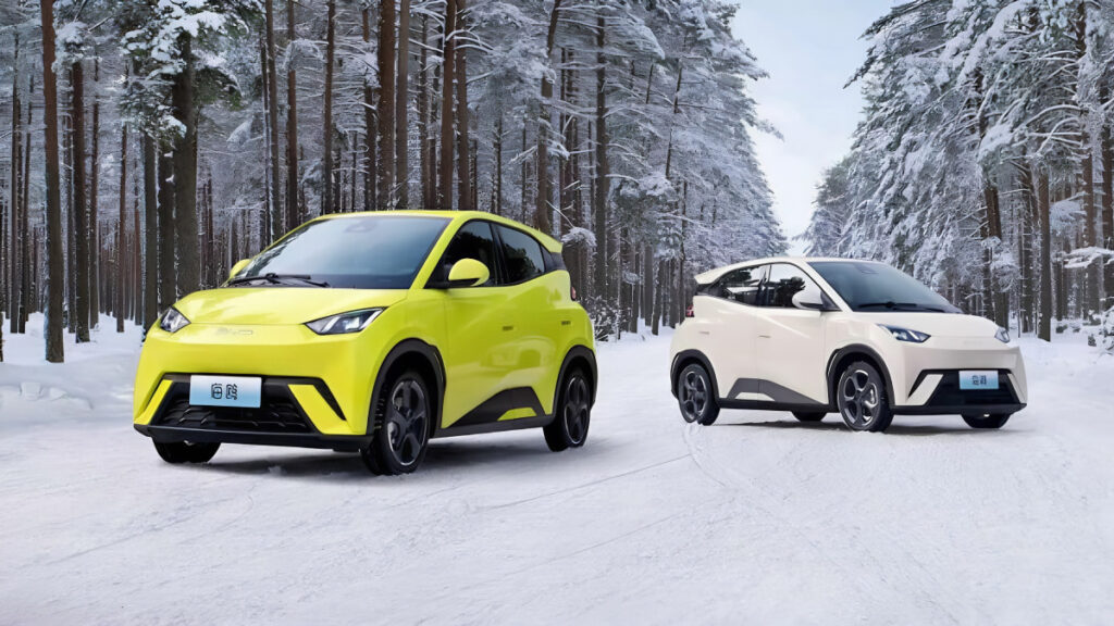 이러면 안 된다 "부동산처럼 다 무너진다" 했는데…中 전기차 결국 '대위기' 2 China EV overselling war (2)