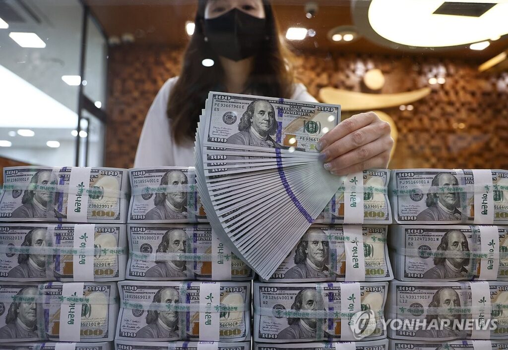 유로화 외평채 발행