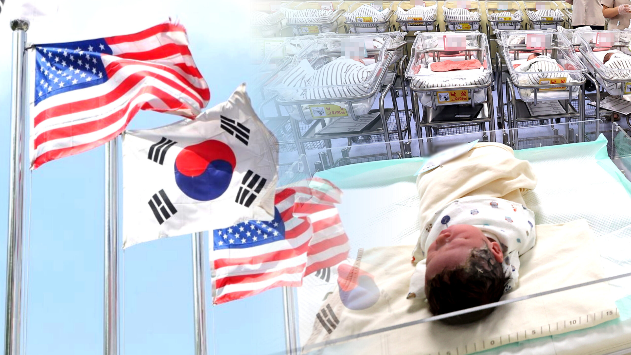 트럼프 출생시민권 제한