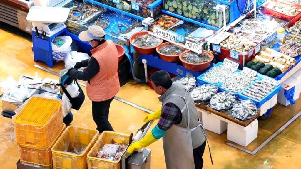 한국인들 필수 반찬인데 "이제 못 먹을지도?"…서민들 '발칵' 1 오징어