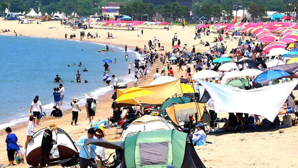 "불황 앞에선 속수무책?"… 코로나도 이겨냈는데, '결국' 무너졌다 1 관광