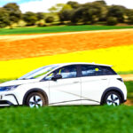 BYD 돌핀