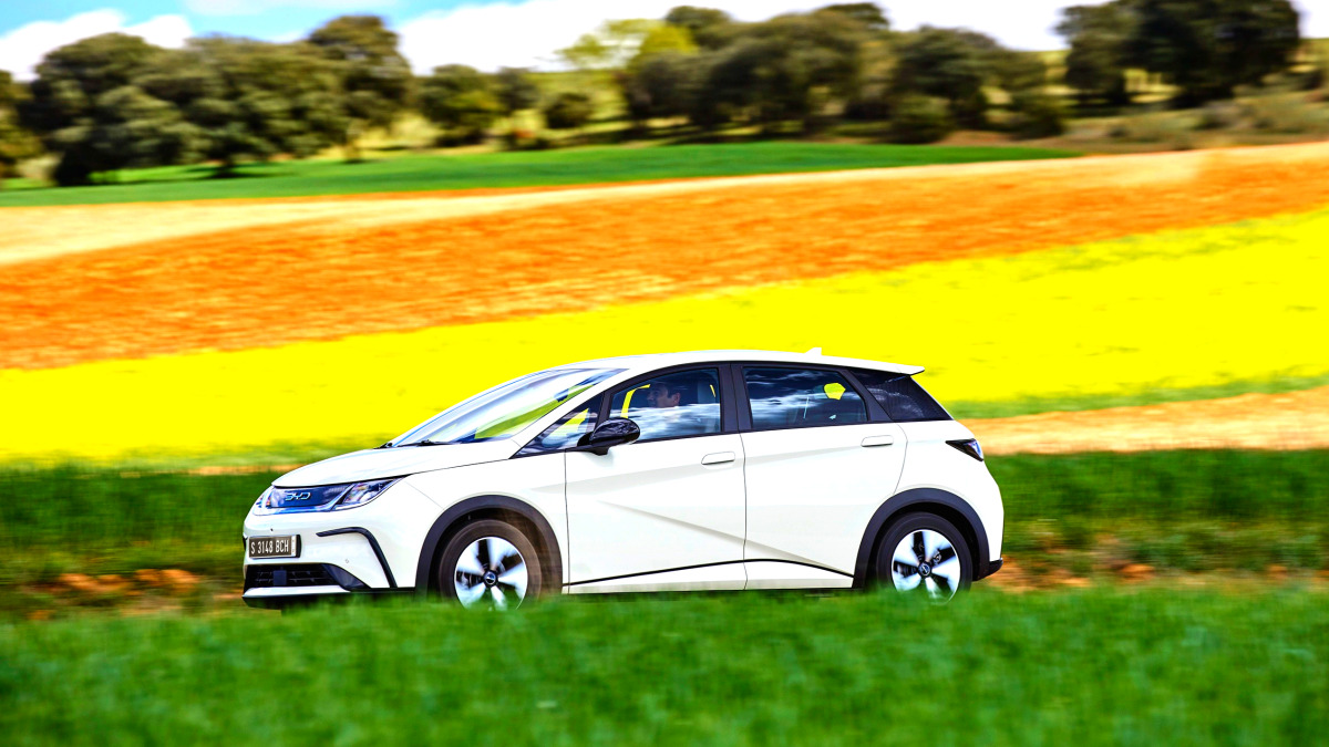 BYD 돌핀