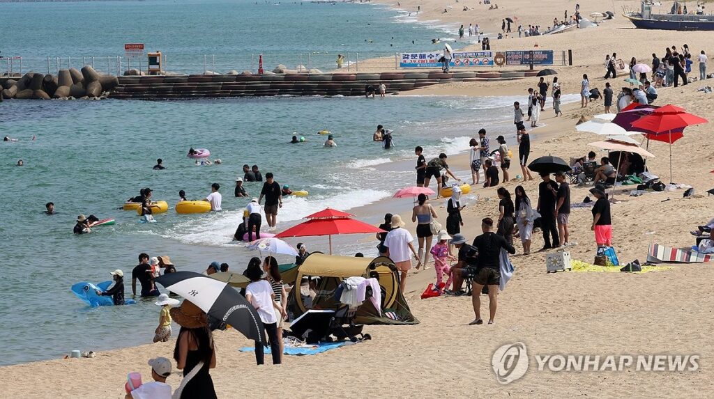 날씨 더워지더니 “터질게 터졌다”…해수욕 즐기다가 ‘날벼락’ 3 해수욕장 해파리 경고등