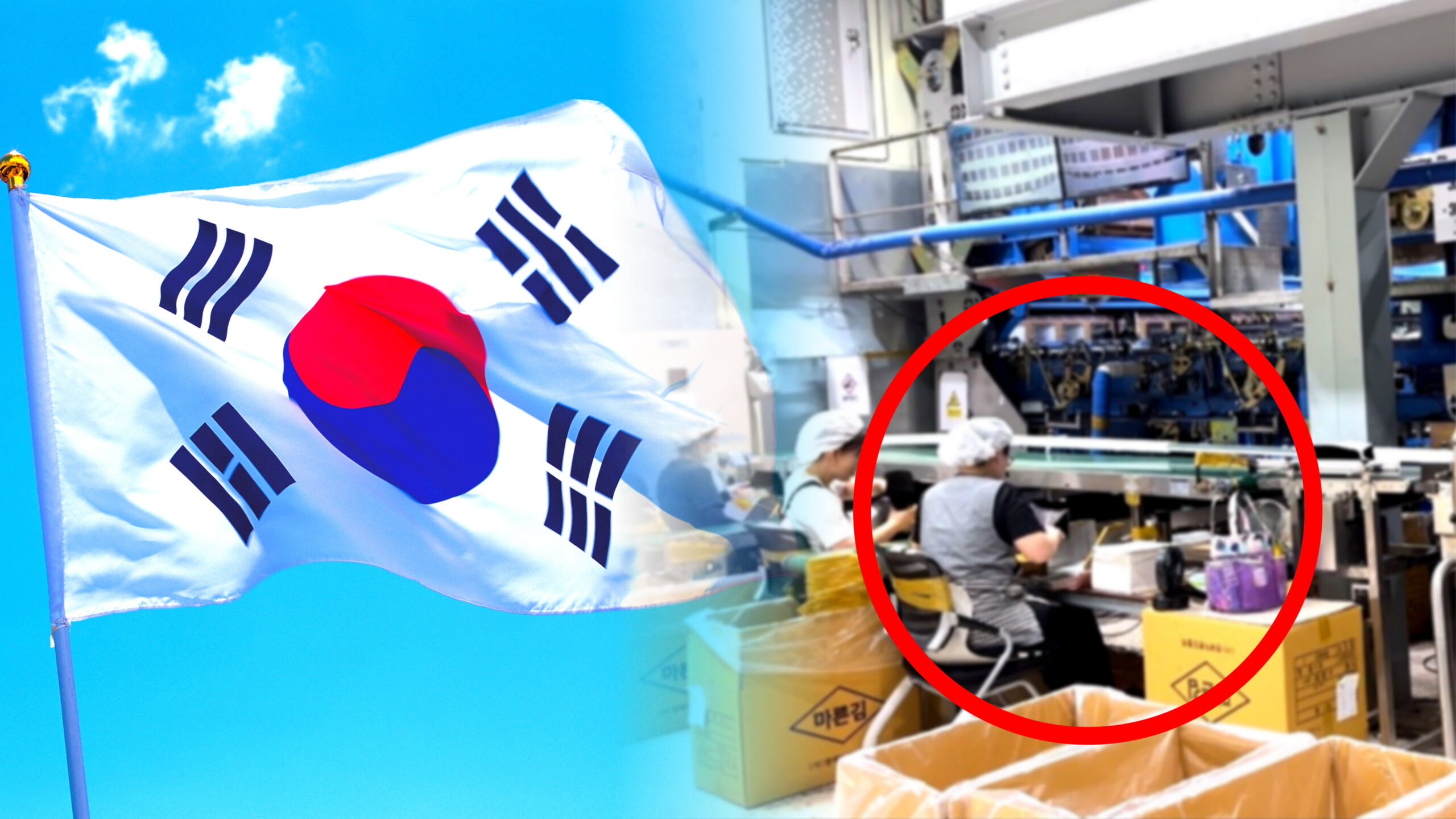 김 세계 수출