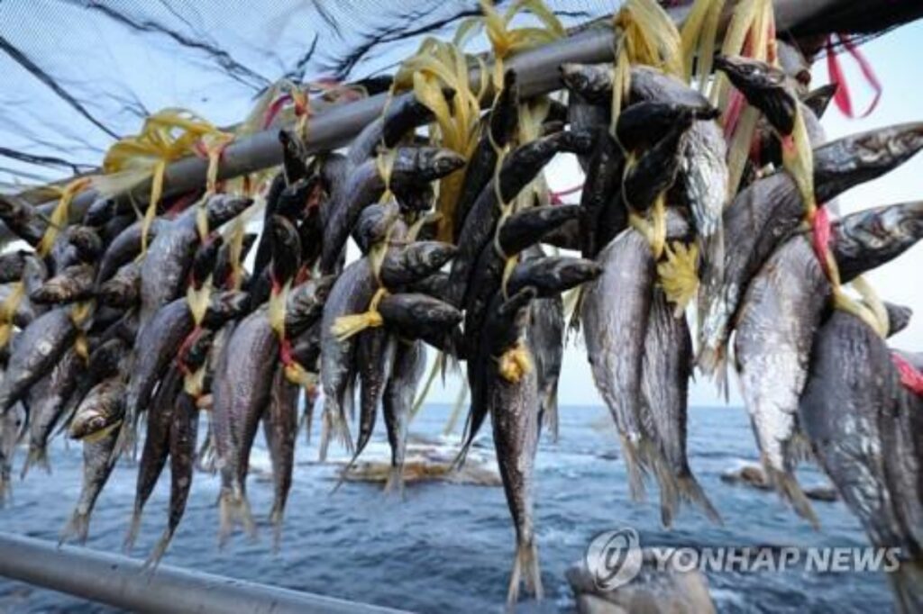 "이러다 한국서 못 먹을 수도".. 기이한 바다 상황, 서민들 '비상' 2 수산물