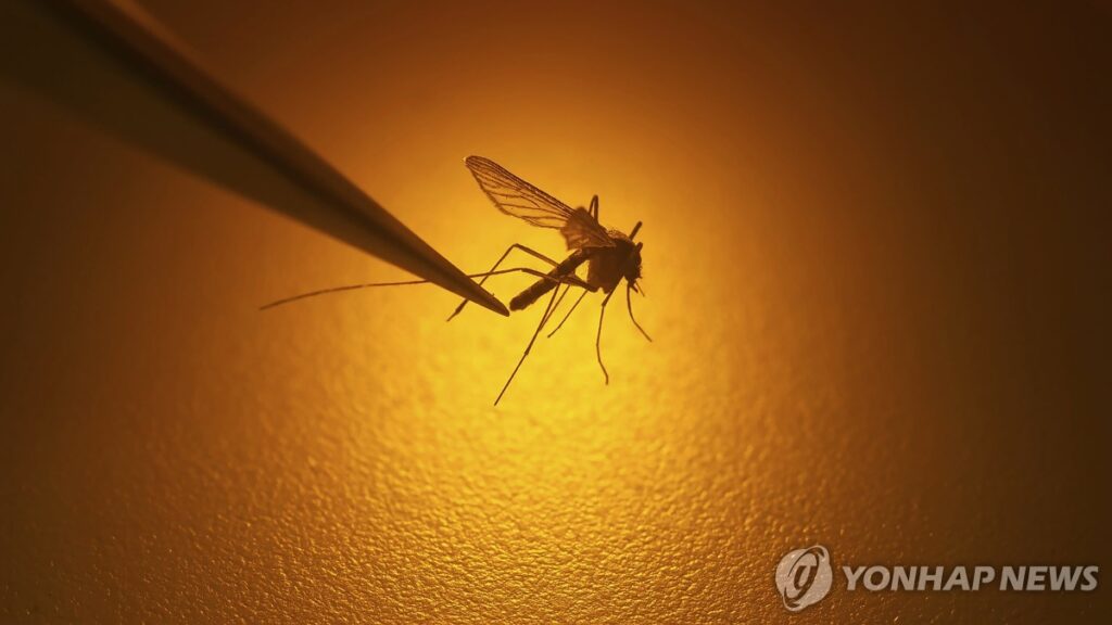 폭염