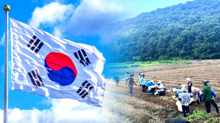 인삼 북미 시장 성장