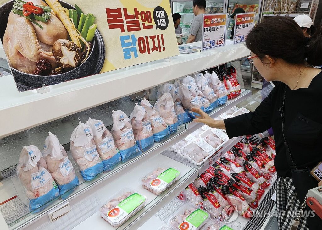 여름철 한국인 필수 음식인데 "날벼락 맞았다"… 서민 식탁 '비상' 걸린 이유 4 삼계탕
