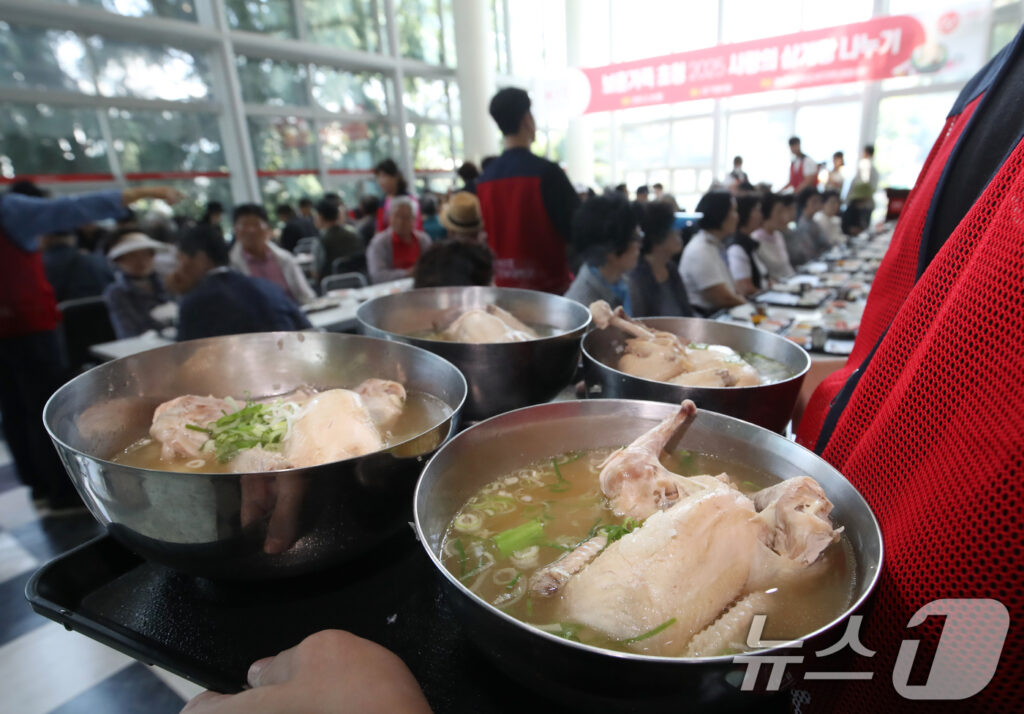 여름철 한국인 필수 음식인데 "날벼락 맞았다"… 서민 식탁 '비상' 걸린 이유 3 삼계탕