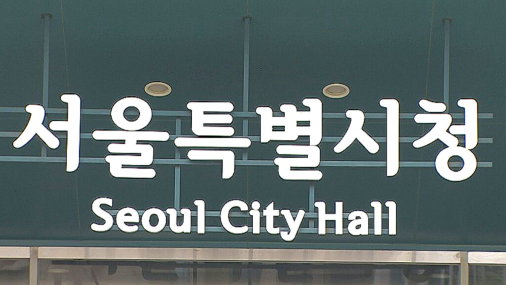 "티머니로 이게 된다고?"… 서울시 '파격 결단'에 전기차 차주들 '활짝' 3 서울시