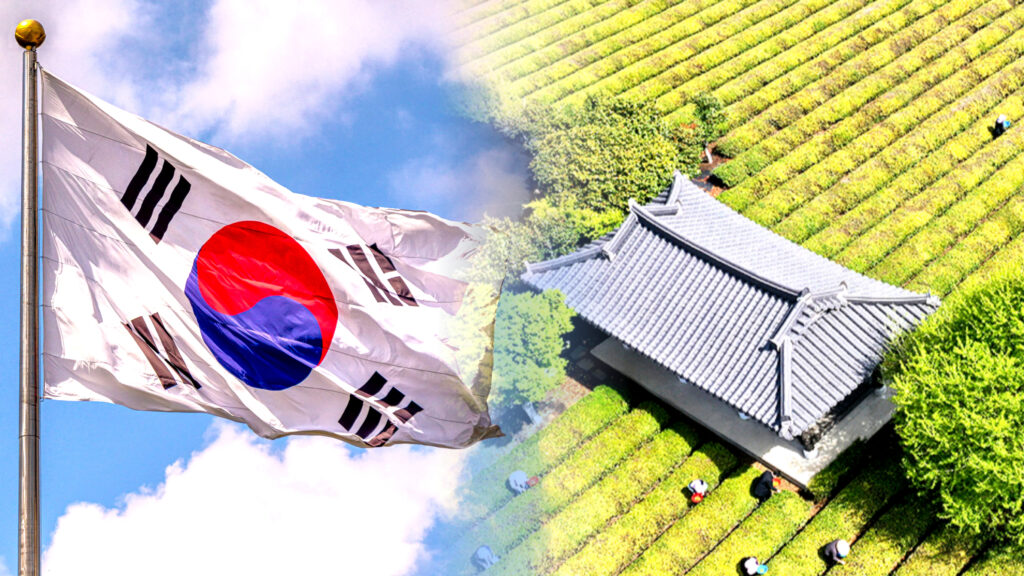 보성녹차 스마트농업 변화