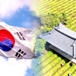 보성녹차 스마트농업 변화