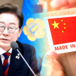 중국 전기버스 보조금