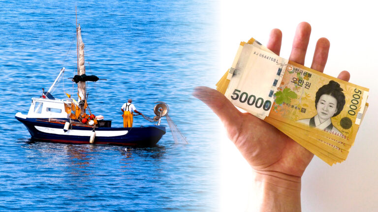 참다랑어 수천 마리 포획