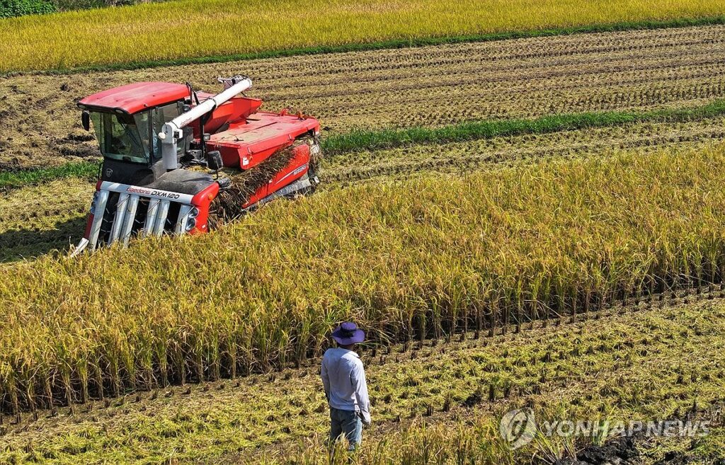 "조선도 반도체도 아니었다"… 美 관세 협상에 한국이 내민 '마지막 카드', 정체는? 2 관세
