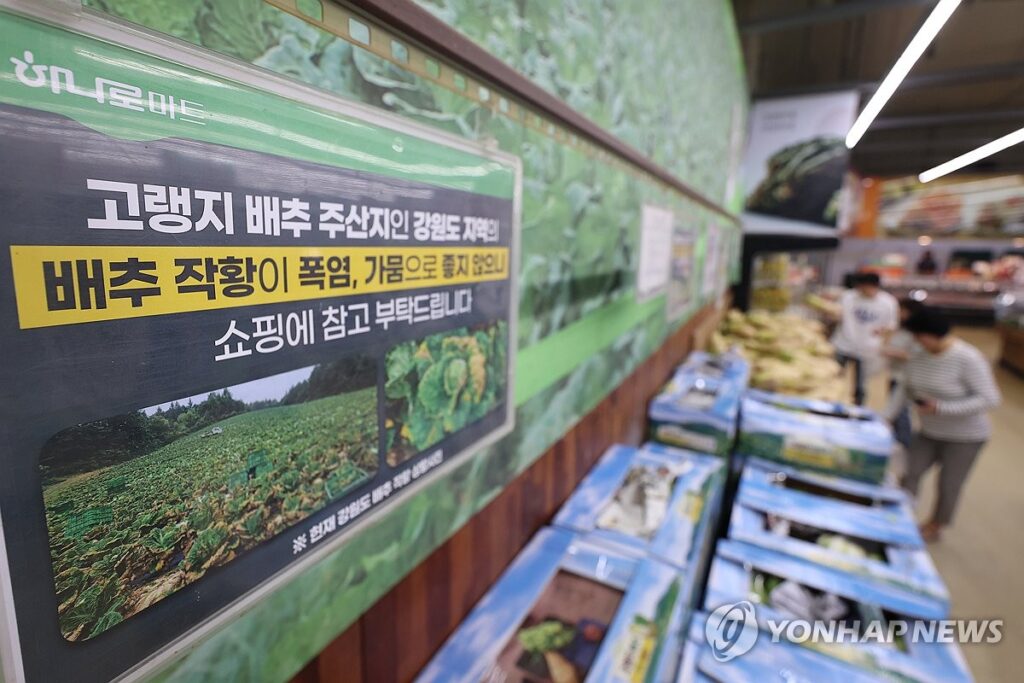 지금이 한창 제철인데 "이제 못 먹겠네”…심상치 않은 상황에 서민들 '눈물' 3 물가