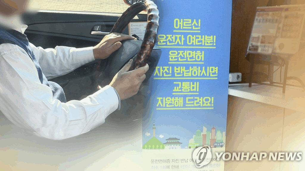 서울시 20만원, 울산 50만원…"이것만 내면 준다고?" 노년층 '술렁', 무슨 일? 2 고령 운전 사고