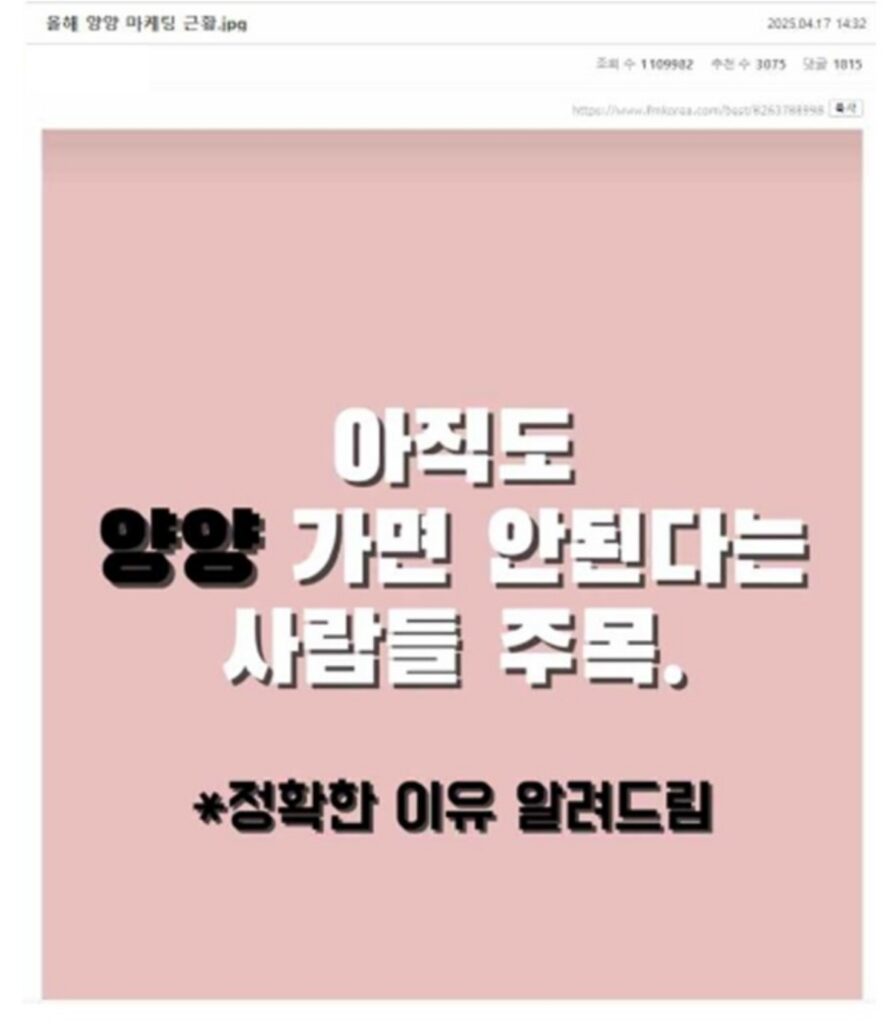 "여름 대표 관광지였는데"… '속수무책' 흔들리는 '양양', 대체 무슨 일? 2 양양