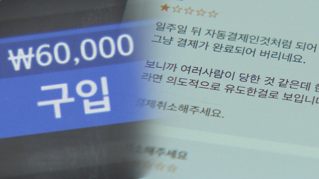 "여보, 통장에 이게 뭐야?"…보이는 대로 믿었다가 서민들 '날벼락' 4 자동결제