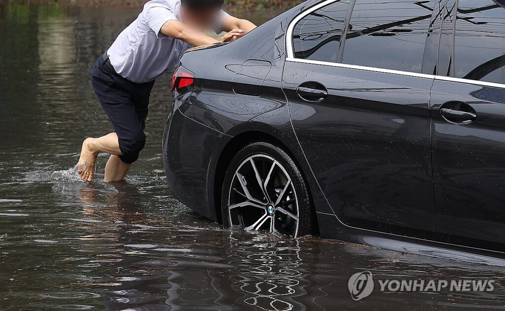 침수차 번호판 확인