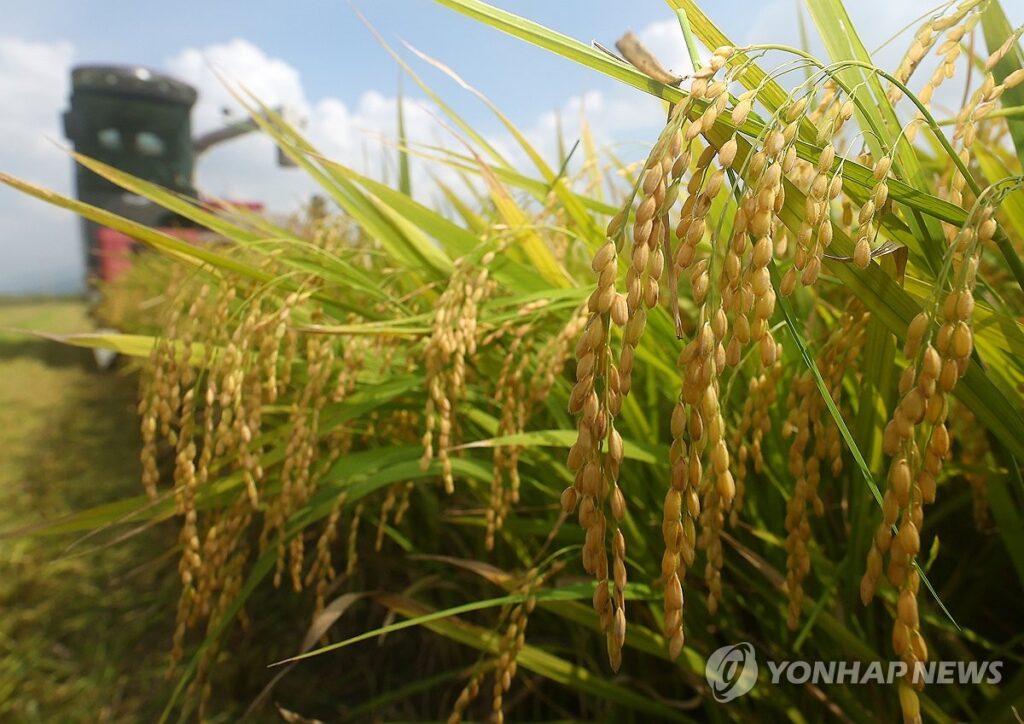 "한국과 일본이 꼴찌 수준?"…10년 만에 '뚝' 떨어지자 한국 전역이 '비상' 5 농어촌