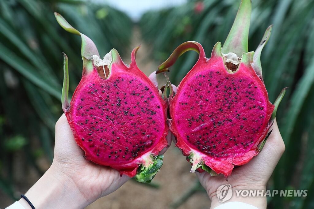 이상기후