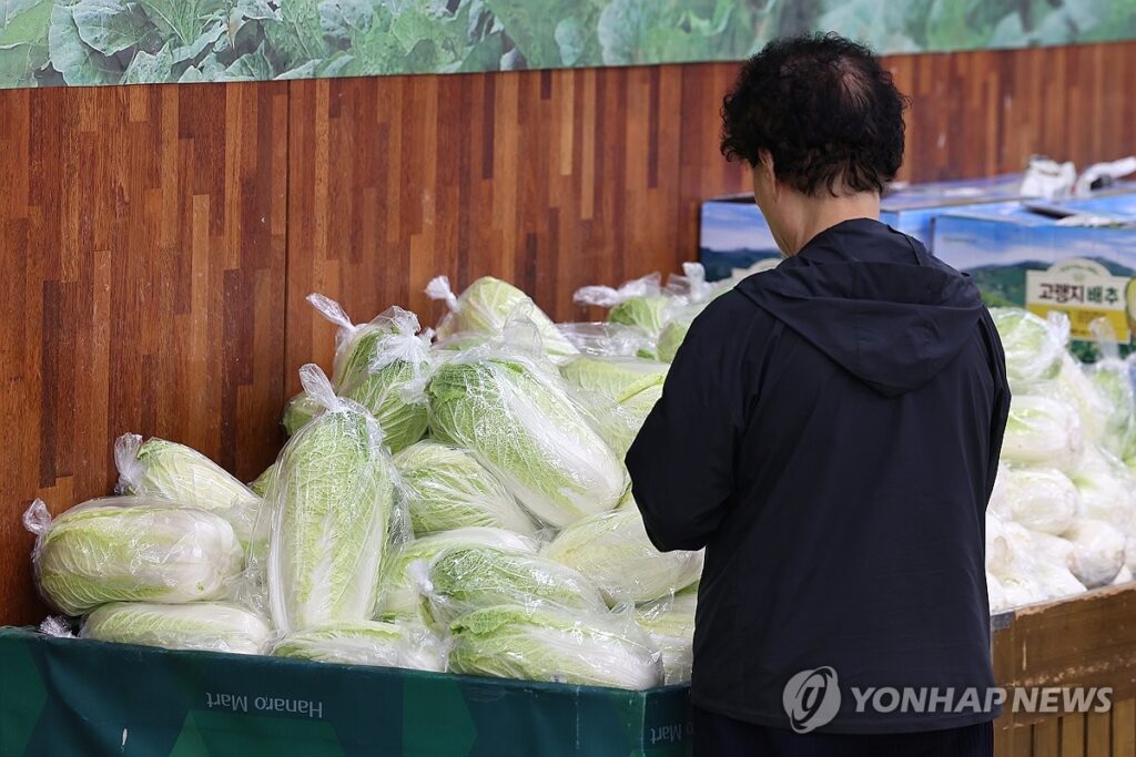 폭염 배추 가격 급등