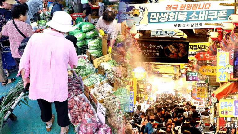 폭염 배추 가격 급등
