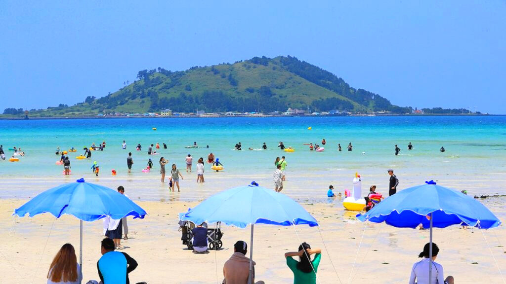 제주도 관광객