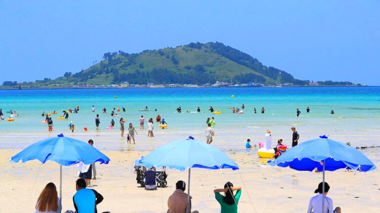 제주도 관광객
