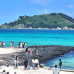 제주도 관광객