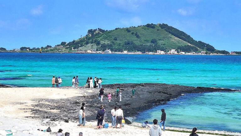 제주도 관광객