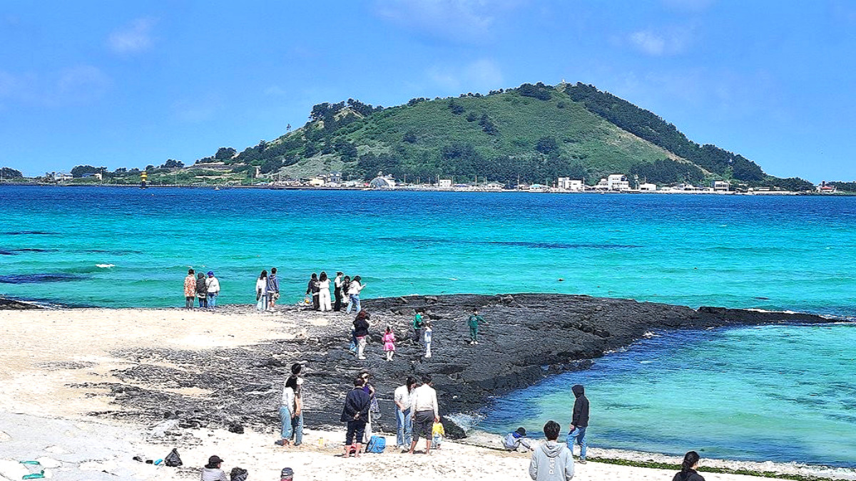 제주도 관광객