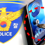 지자체 번호판 영치