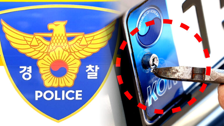 지자체 번호판 영치