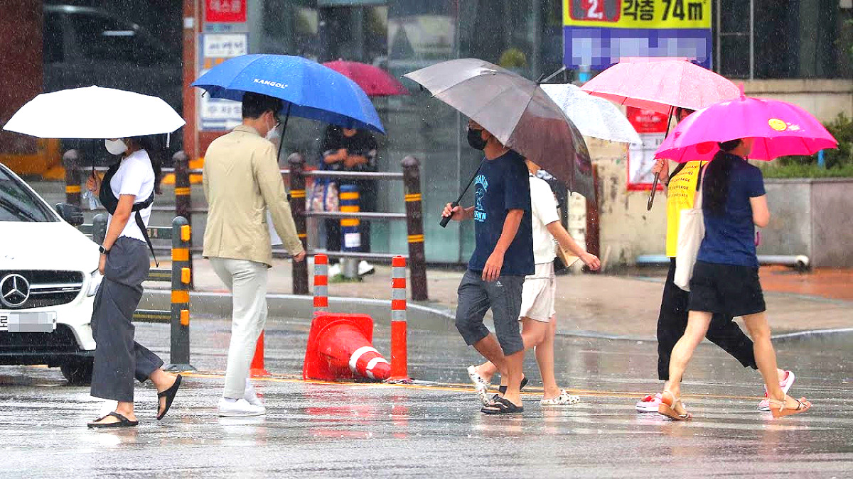 폭우에 농산물 물가 비상