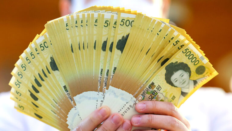 정부 신용사면 정책