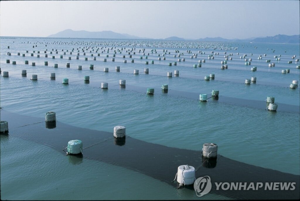 전 세계가 찾는 한국산인데…"이제 먹기 힘들어진다?", K-푸드 '초비상' 3 김