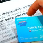 2차 소비쿠폰 지급