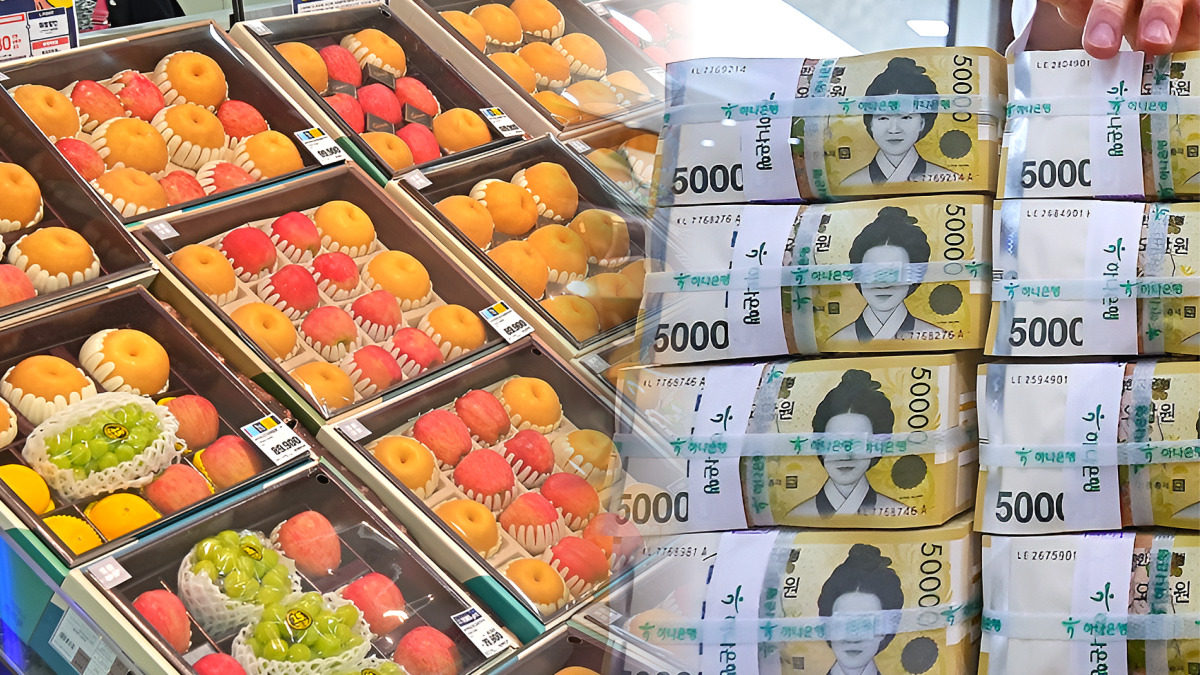 2차 민생회복 소비쿠폰 고액 자산가 제외