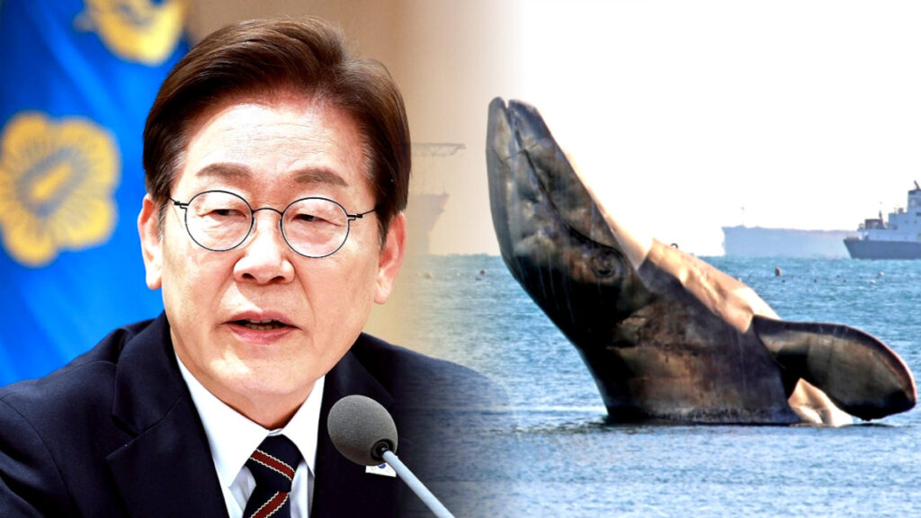 동해 심해 가스전 개발