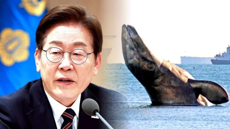 동해 심해 가스전 개발