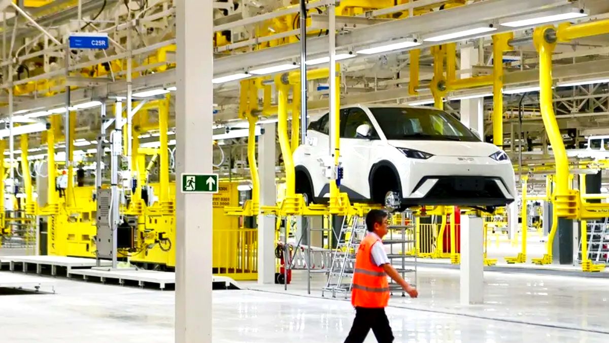 BYD 수익성 악화