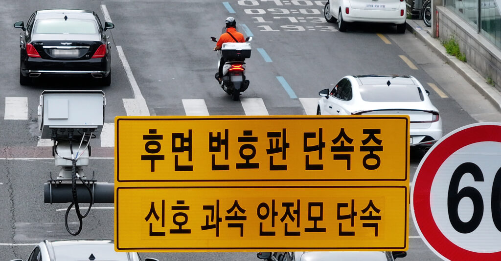 후면 단속 건수 증가