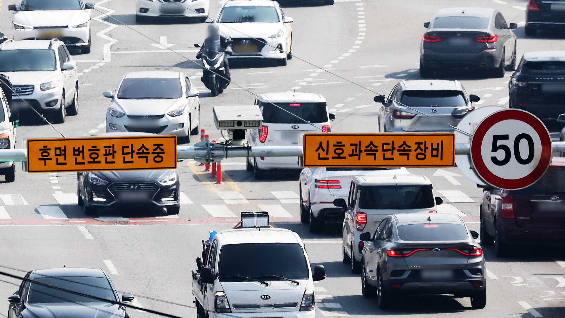 후면 단속 건수 증가