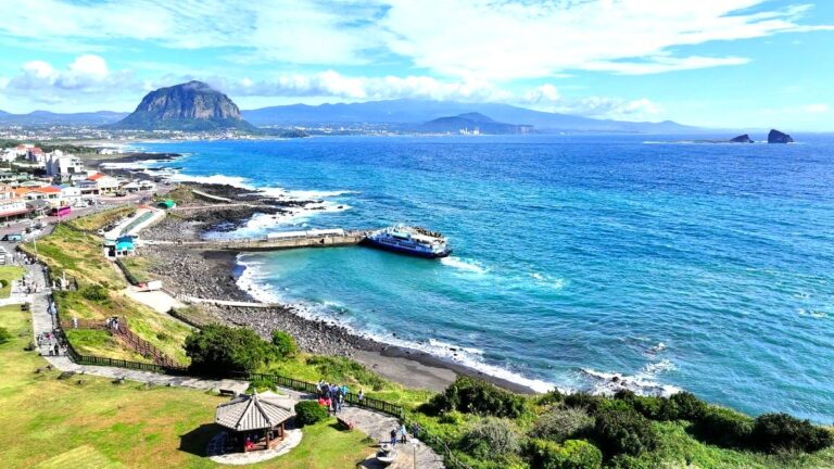 제주도 관광 민원